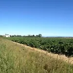Domaine Limouzy *