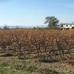 Domaine Limouzy * Narbona