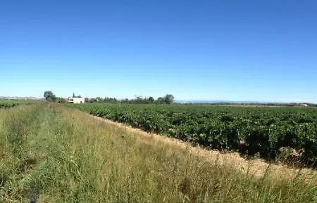 Domaine Limouzy *