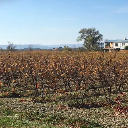 Domaine Limouzy * Narbona