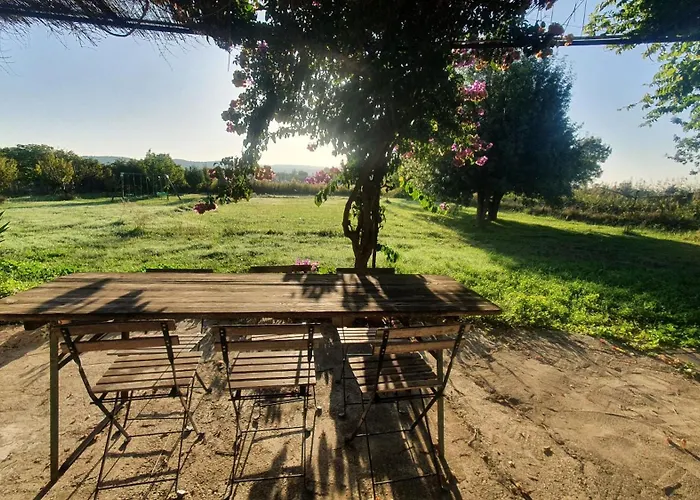 Domaine Limouzy *