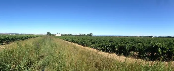 Domaine Limouzy *