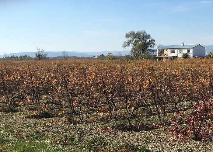 Domaine Limouzy * 나르본