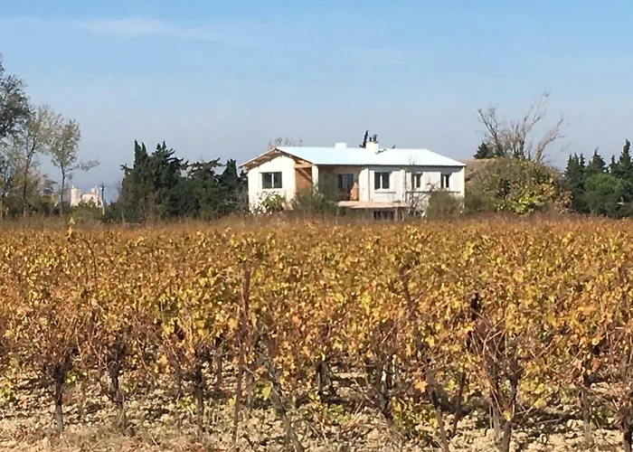 Domaine Limouzy Dom wakacyjny